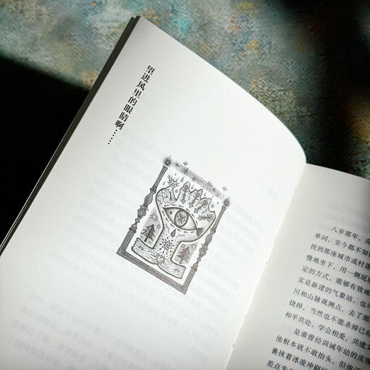 铜与糖 诗人倪湛舸 诗集 皮埃尔和艾琳娜系列 商品图9