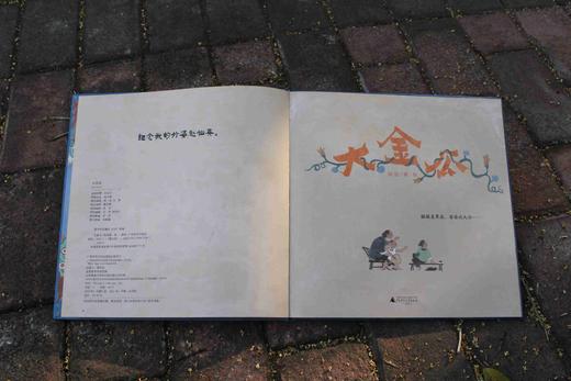 魔法象·图画书王国 大金瓜 阿涩/著 岩彩绘画 传统文化 语言游戏 想象力 歌谣绘本 田园气息  广西师范大学出版社 商品图6