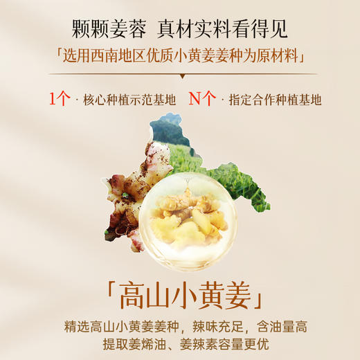 【3瓶装】卓蓝雅生姜防脱固发头皮精华液（生姜9号）ZT-1 商品图1