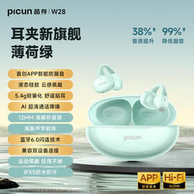 品存(picun)IPX5防水防汗兼容双设备耳夹式耳机W28