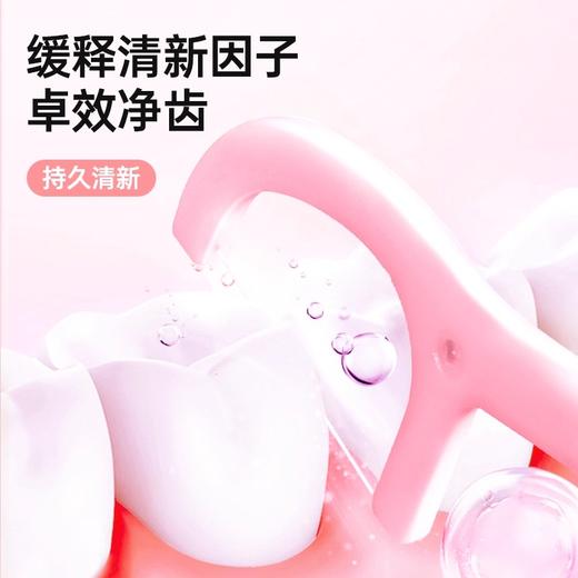 【MAYNOS水果味随身携带牙线棒】牙线棒牙缝清洁一次性剔牙签 商品图1