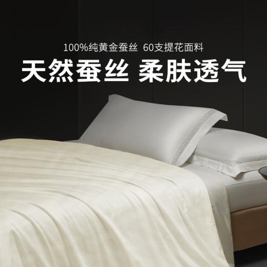  【罗莱蚕丝被】 破价清仓，售完不补！100%纯黄金蚕丝，60支提花面料，专柜正品，亲肤透气，奢享好睡眠！ 商品图0