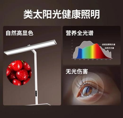 【送地球仪】长桌台式大路灯RO1-70W 商品图3