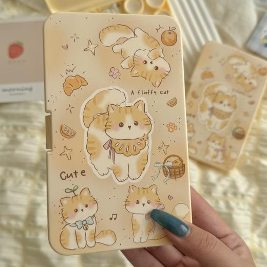 隐形眼镜盒/像鱼as982六付装 商品图3