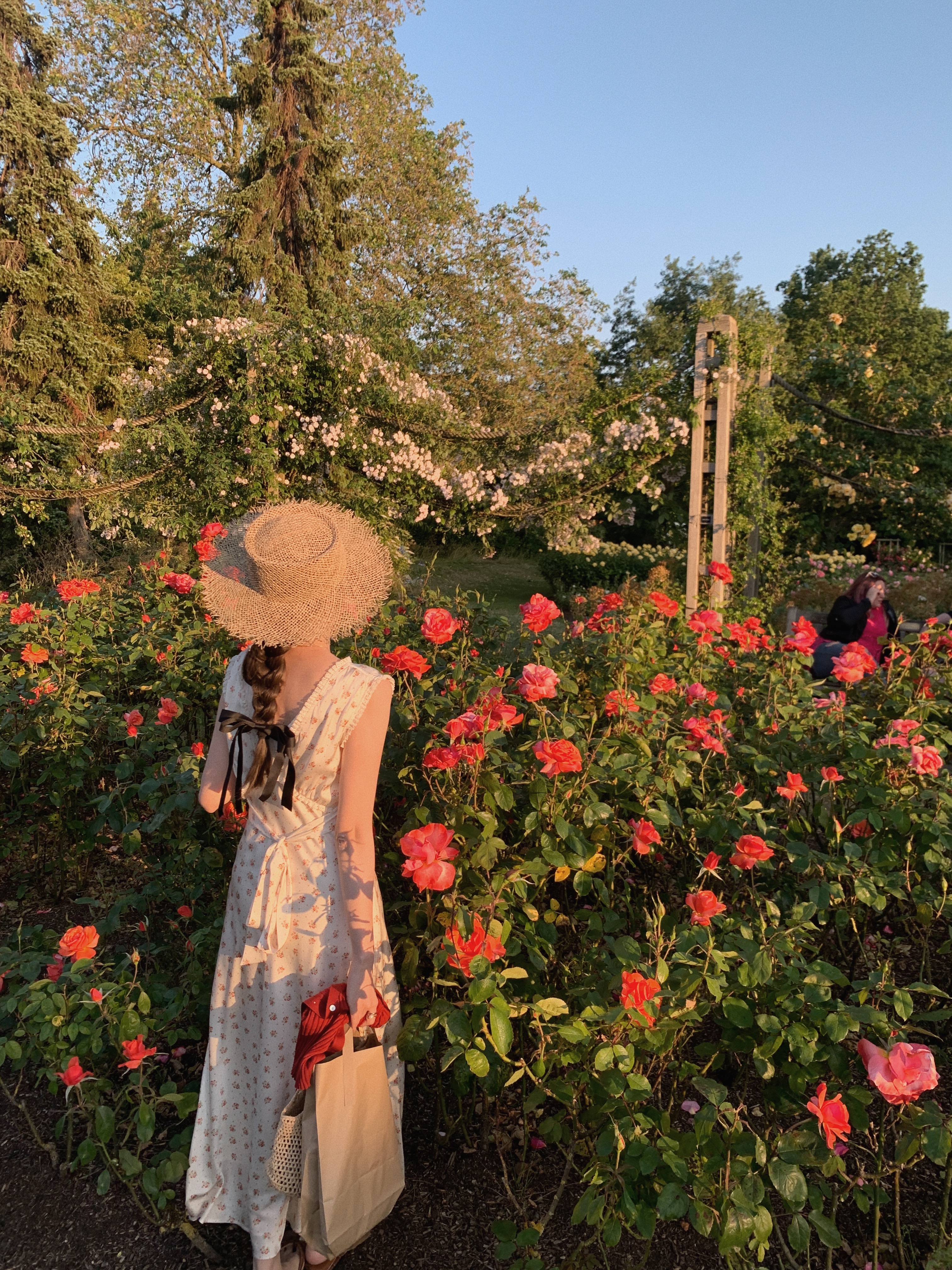 金蘑菇菇 莉莉安 / 小蔷薇印花斜裁裙裙