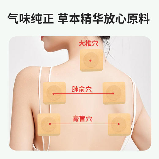【唐韵宛枫 三伏贴】植物萃取 穴位贴敷 温经通络 夏养三伏 商品图5