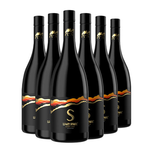 沙地酒庄·黑金S赤霞珠干红葡萄酒 750ml*6  赤霞珠酿造 橡木桶风味 性价比之选 商品图0