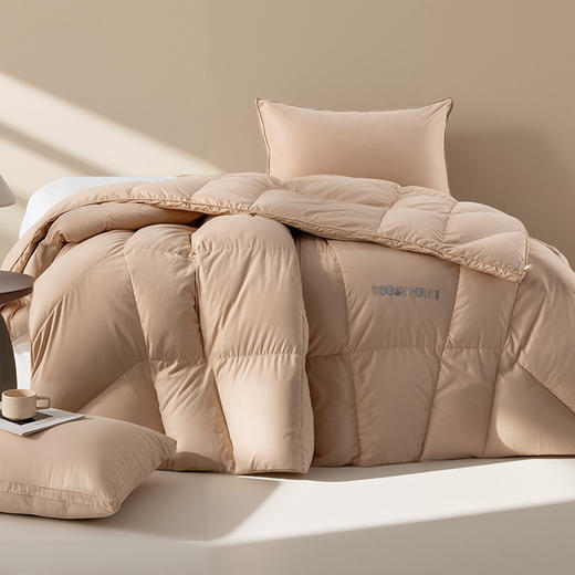 多喜爱 金羽朵95进口白鹅绒冬被-羽白/云紫/雪金【95%绒子含量】【分区保暖工艺】【皮箱包装】【1000+清洁度】【波兰进口】【柔暖缎面料】【A类品质】匠人手挑白绒 黄金取绒位 商品图7