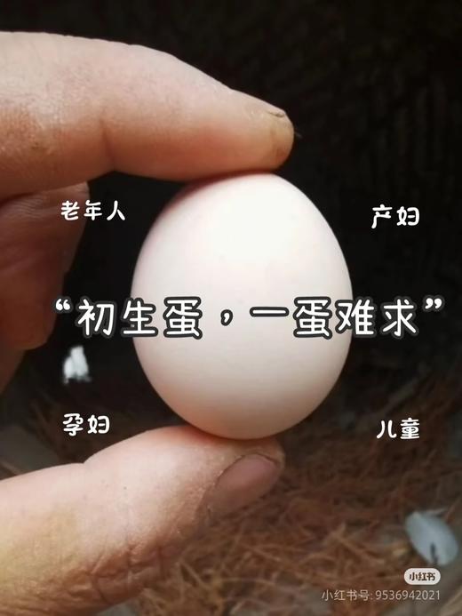 初产蛋（60枚/箱） 商品图1