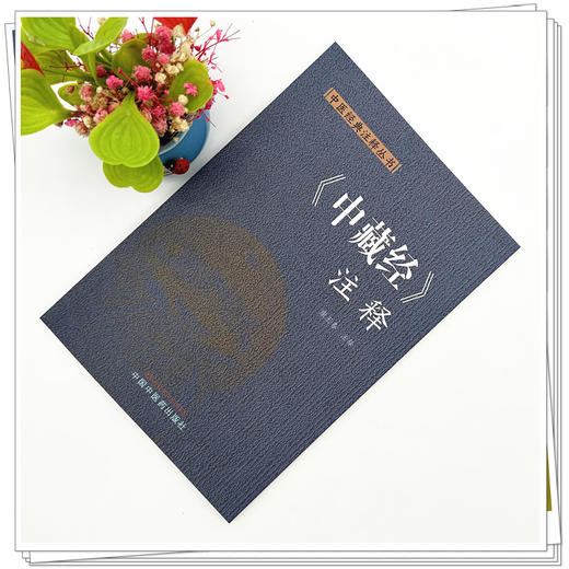 《中藏经》注释 康玉春 注释 中国中医药出版社 中医经典注释丛书 商品图1