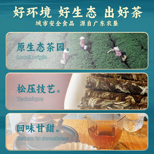 【中国农垦】雄鸥流金岁月白茶100克 商品图1