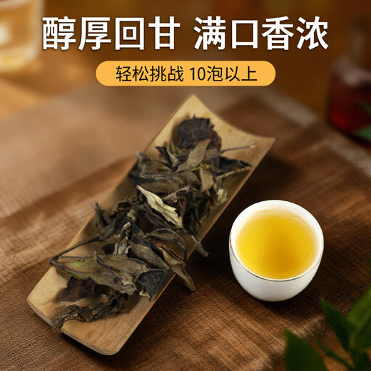 2025年老白茶寿眉贡眉干仓茶叶批发500克云南大叶种白茶 商品图2