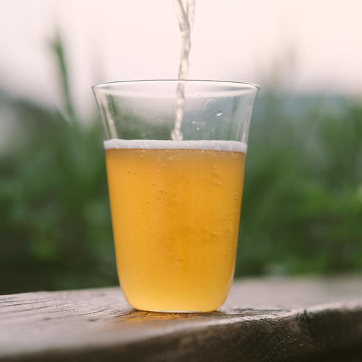 [屁侠推荐]丑美阿柑 耙耙柑柏林酸小麦精酿啤酒  330ml*6瓶装  商品图3