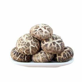 2026年新货 丰富维生素 17种人体所需氨基酸 丰富矿物质 地标特产 精品厚肉冬花菇 500g/袋