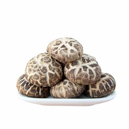 2026年新货 丰富维生素 17种人体所需氨基酸 丰富矿物质 地标特产 精品厚肉冬花菇 500g/袋 商品图0