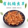 鑫碧源有机蛹虫草80g 商品缩略图1