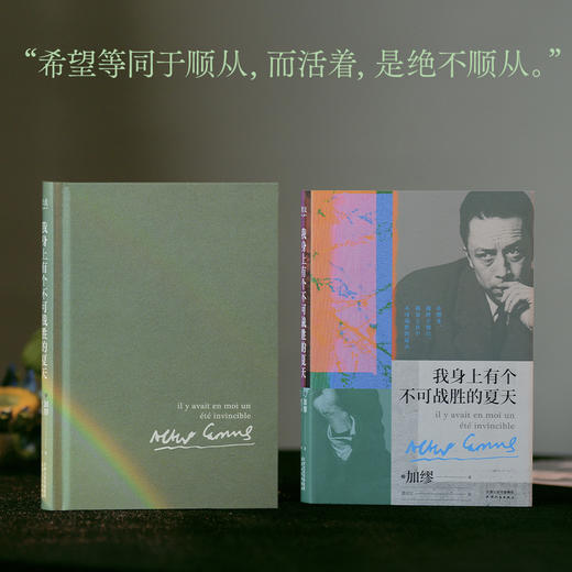 我身上有个不可战胜的夏天（加缪精选随笔集，“在隆冬，我终于明白，我身上有个不可战胜的夏天。”） 商品图3