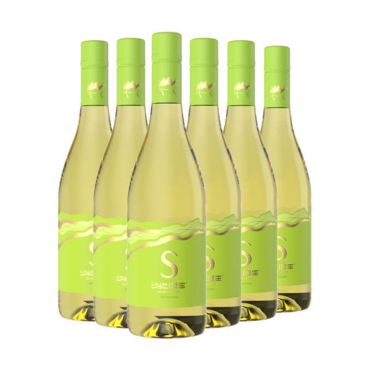 沙地酒庄·绿金S千白葡萄酒 750ml*2  霞多丽酿造  橡木桶陈酿 果香浓郁 商品图0