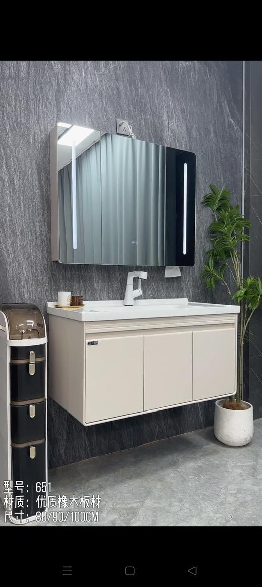 YX 浴室柜 651-100 三包装 配50陶瓷盆 商品图0