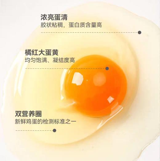 可生食蛋 （30枚/箱） 商品图3