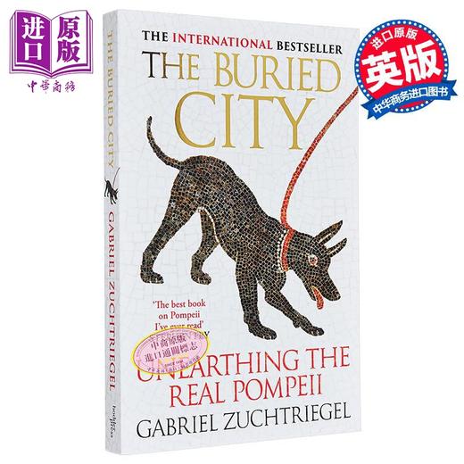 【中商原版】湮没之城 庞贝古城的真实考古 The Buried City Unearthing the Real Pompeii 英文原版 Gabriel Zuchtriegel 历史 商品图0
