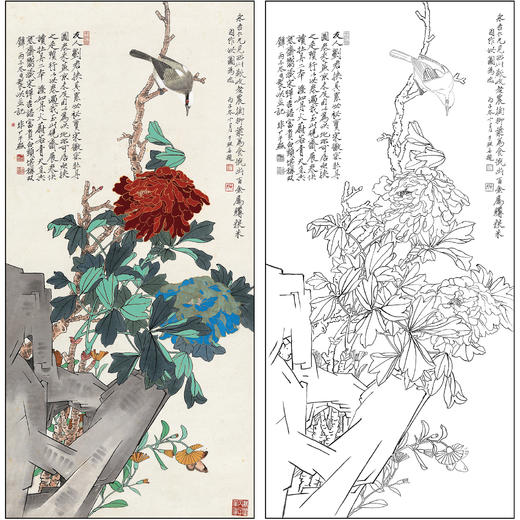 于非闇花鸟工笔画白描底稿《牡丹富贵图》临摹勾线高清打印稿FA05 商品图0