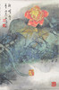 叶泉《昭辉》国画原作70CM*46CM 手绘宣纸花卉作品 商品缩略图1