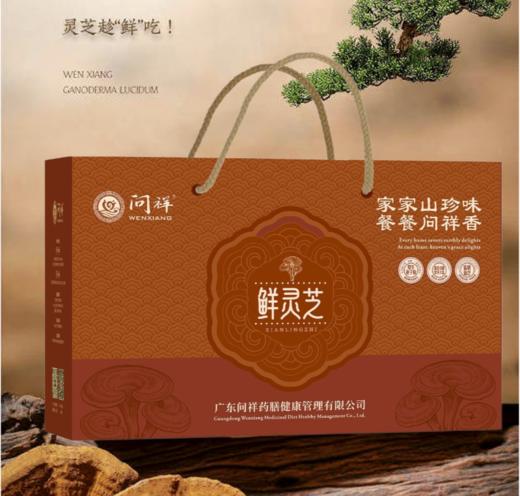 问祥六条灵芝靓汤礼盒装（ 360g） 商品图1