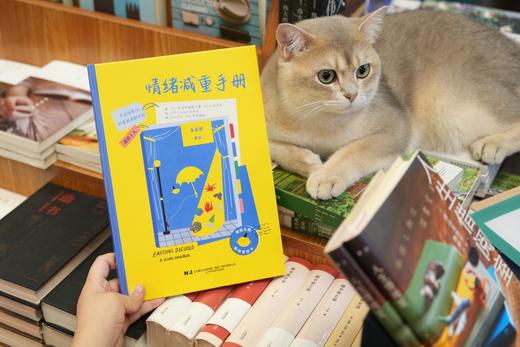 超前预售《情绪减重手册》情绪主题轻科普绘本 商品图2
