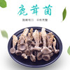 鑫碧源鹿茸菌100g 商品缩略图1