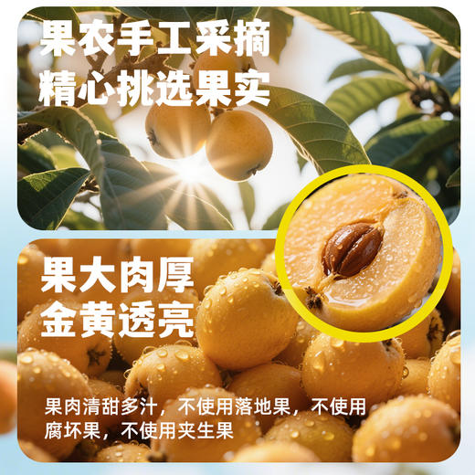 【夏日果缤纷】5种口味（300g阳光玫瑰+300g枇杷+300g桑葚+390g菠萝+400g杨梅）#润 商品图2