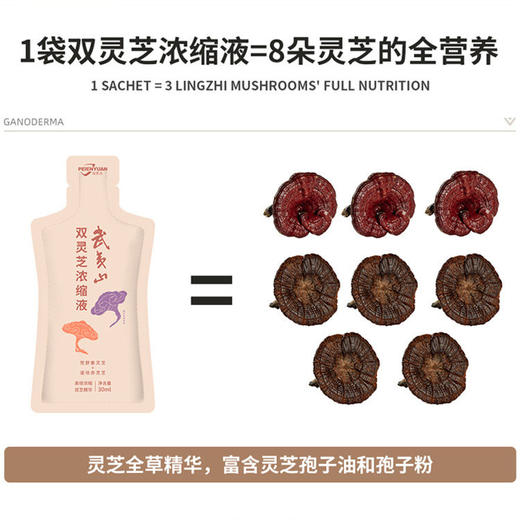 【11月专属福利！买12盒赠7盒到手19盒！性价比爆棚！】培恩元武夷山双灵芝浓缩液12赠7｜双芝26倍浓缩！五脏同调，提高免疫力！ 商品图2