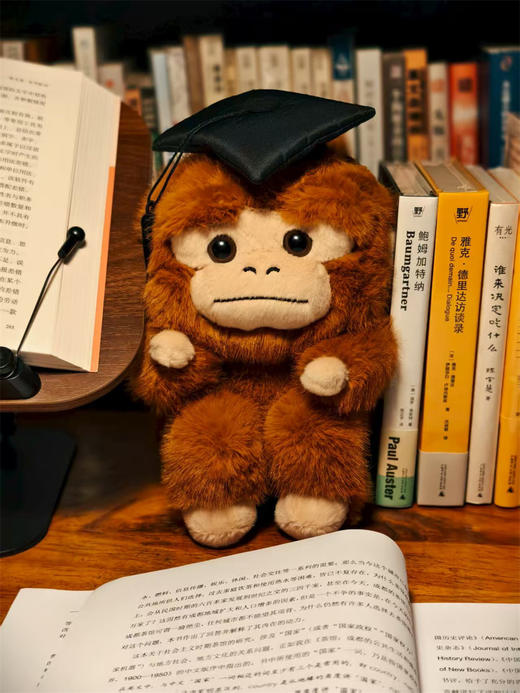 【新品现货】学术吗喽公仔 可选 深棕色 卷卷/ 浅色  问问 玩偶 商品图7
