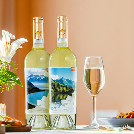 沙地酒庄·大美新疆葡萄酒套装 750ml*6  天山产区 6 款风味对应 6 处秘境 雪水灌溉葡萄酿造 商品图3