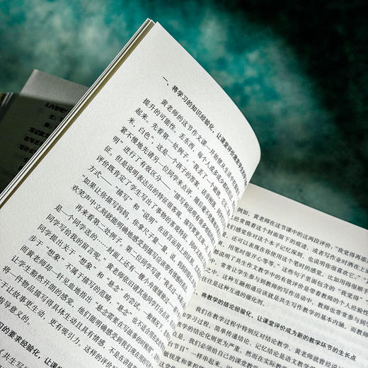 作文课的味道 听黄厚江讲作文 大夏书系 语文之道 语文特级教师黄厚江力作 商品图9