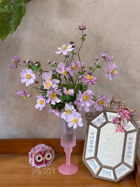 国产小众花材紫菱花/碗兰/5支