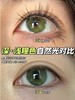 liliyacon 半年抛 青涩橄榄南洋琥珀桃之夭夭笨蛋比熊【国产14.5mm2片】 商品缩略图0