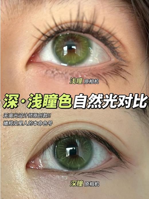 liliyacon 半年抛 青涩橄榄南洋琥珀桃之夭夭笨蛋比熊【国产14.5mm2片】 商品图0