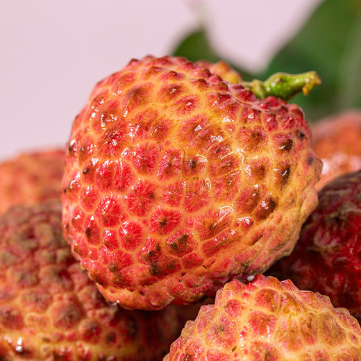 新鲜水果  核小肉厚 清甜多汁 仙进奉荔枝  500g （微瑕果，介意勿拍） 商品图3