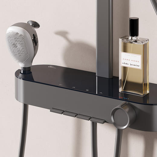 【门店款】帝王洁具TC24033花洒喷头花洒套装淋浴器套装卫生间高档淋浴器 商品图2