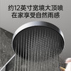 【门店款】帝王洁具TC24030花洒家用淋浴套装卫浴极简淋浴枪灰色增压沐浴 商品缩略图2