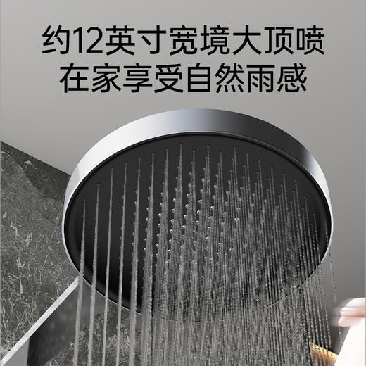 【门店款】帝王洁具TC24030花洒家用淋浴套装卫浴极简淋浴枪灰色增压沐浴 商品图2