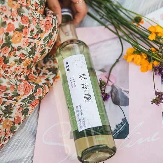 苏州桥玫瑰/桑椹/桃醉/青梅/杨梅酒300ml 商品图2