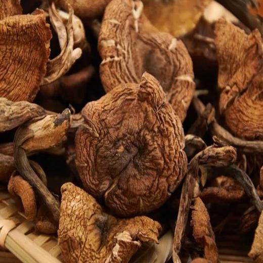 【中国农垦】天锦线下有机榛蘑150g 商品图1