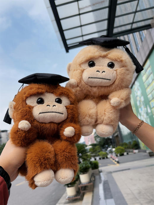 【新品现货】学术吗喽公仔 可选 深棕色 卷卷/ 浅色  问问 玩偶 商品图2