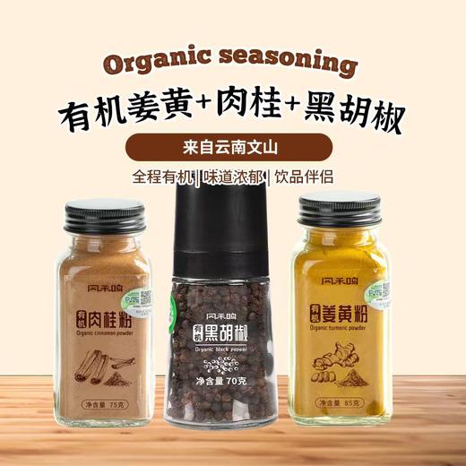 有机肉桂健康黑胡椒颗粒暖暖姜黄奶超模同款黄金奶套餐 商品图0