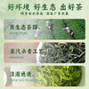 【中国农垦】雄鸥明前绿茶绿茶300克 商品缩略图1