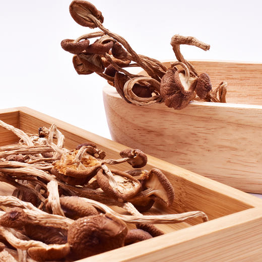 鑫碧源江西茶树菇128g 商品图4