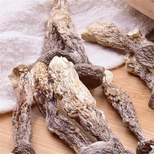 鑫碧源鹿茸菌100g 商品图4