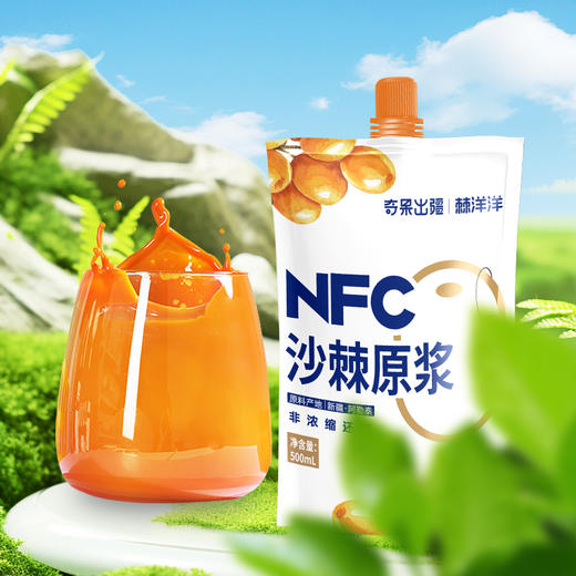 奇果出疆·NFC沙棘全果原浆500ml*5  酸甜可口 天然沙棘果香 原汁原味 商品图2
